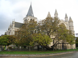 La cathédrale de Rochester, derrière un arbre très... spécial!